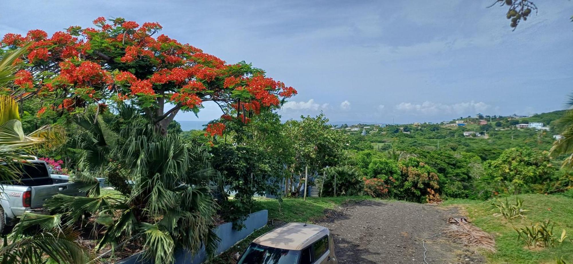 Rooster Run Glamping Camping Has Rooftop And Off The Ground Glamping Experience For 1 To 16 In A Single Tent And Views Of The Rain Forrest And To Culebra Across The Atlantic Ocean W Tents, Linens, Deluxe Air Beds, Warm Shower And More At A Great Pric Vieques Exterior foto