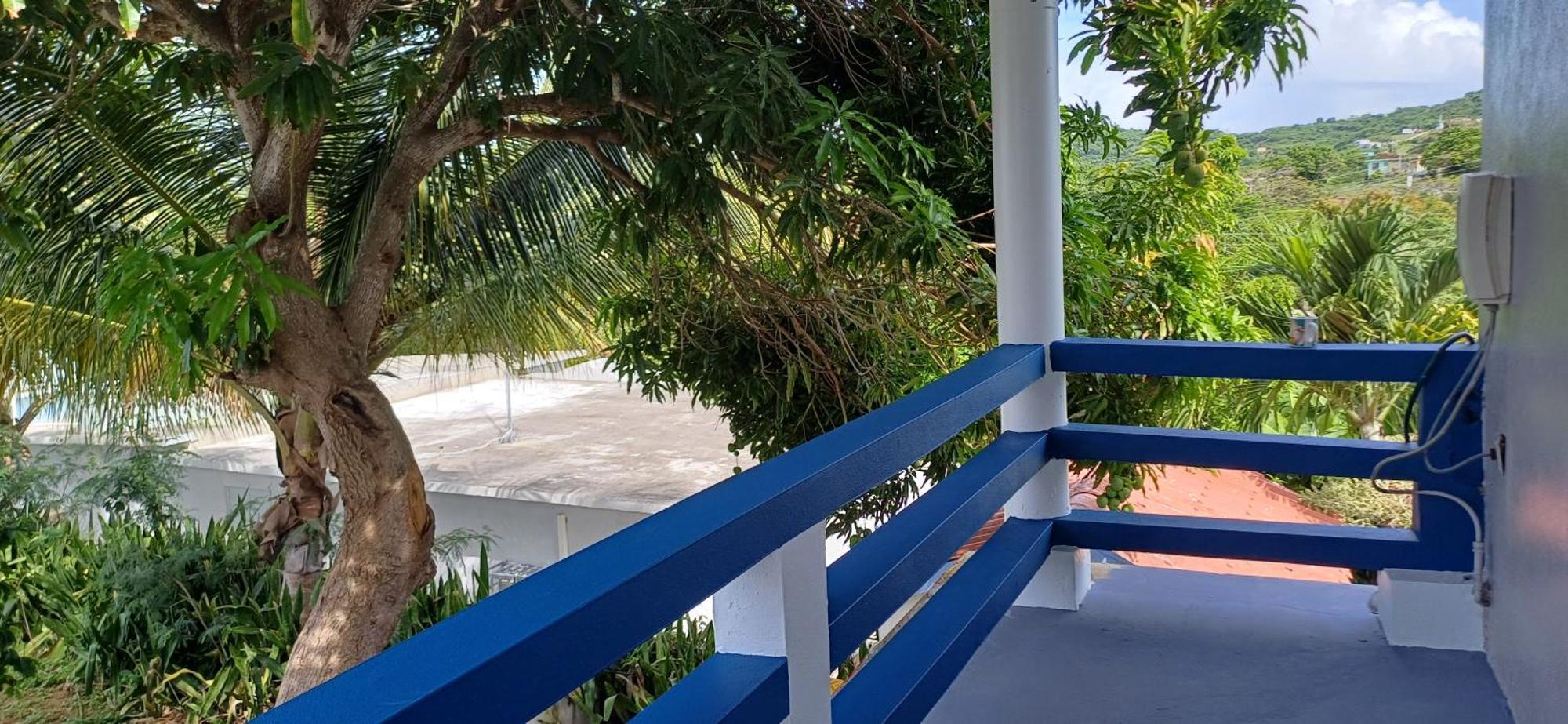 Rooster Run Glamping Camping Has Rooftop And Off The Ground Glamping Experience For 1 To 16 In A Single Tent And Views Of The Rain Forrest And To Culebra Across The Atlantic Ocean W Tents, Linens, Deluxe Air Beds, Warm Shower And More At A Great Pric Vieques Exterior foto